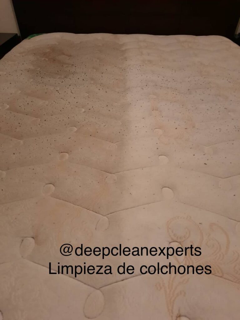 photo4916116367430756763 768x1024