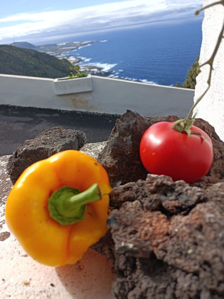 photo4918226132675963228 768x1027